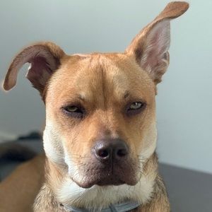 Meet your Posher, Mariah